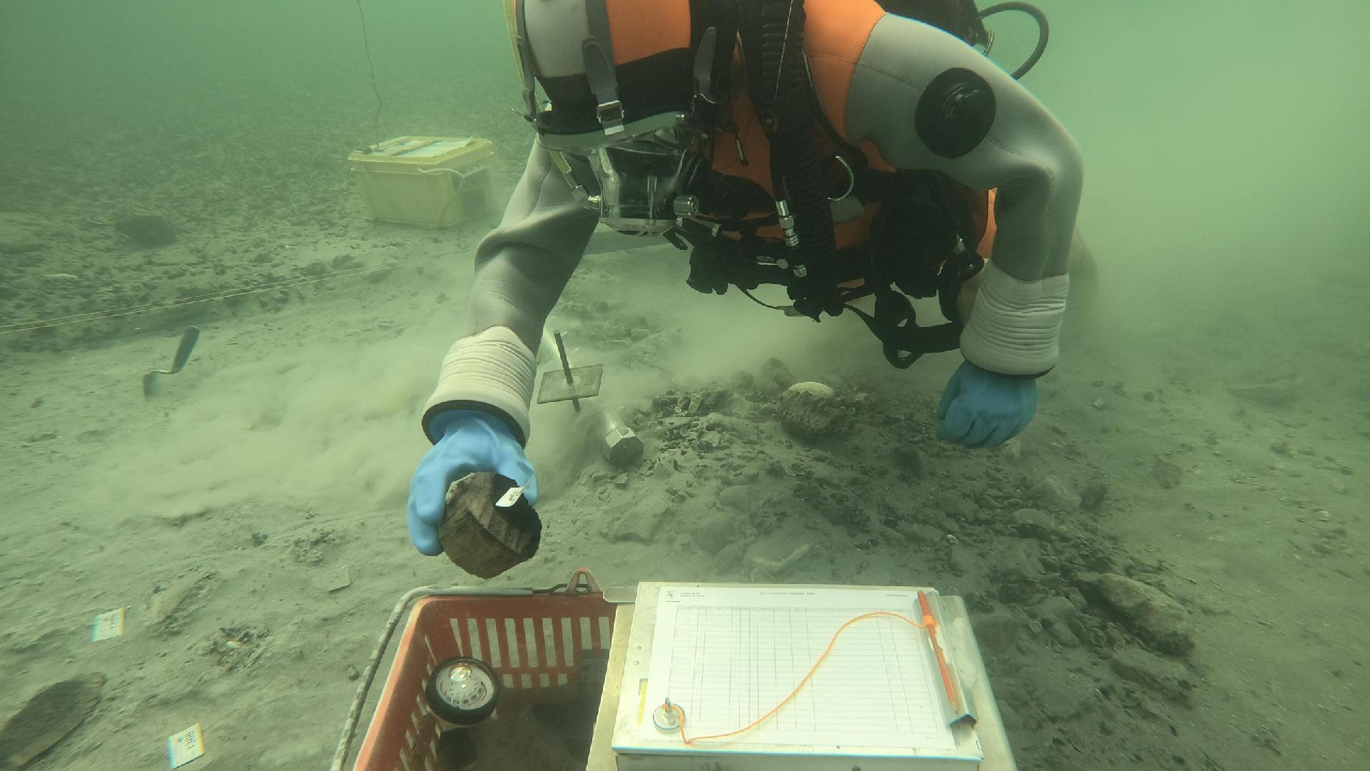 アルプスの水中に眠る古代遺跡、科学の力で発掘進む - SWI swissinfo.ch
